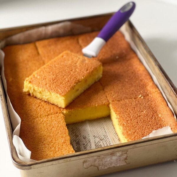 WhatsApp Image 2022-02-16 at 16.31.28